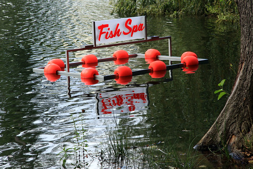 Fish-Spa