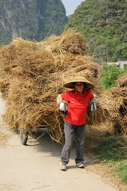 Gigantic Rice Bundle on a Cart