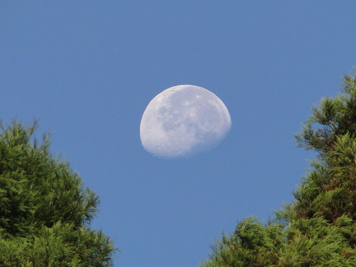 Moon in the morning