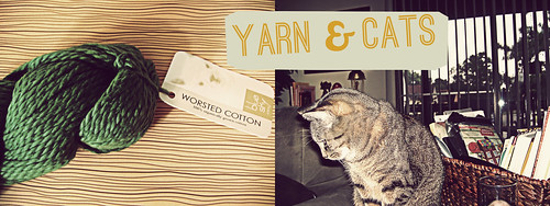 yarn and cats