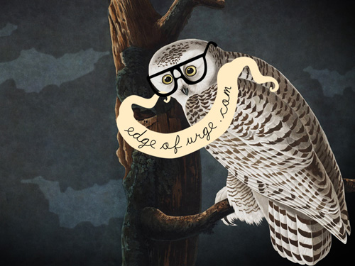 owl-wallpaperr2