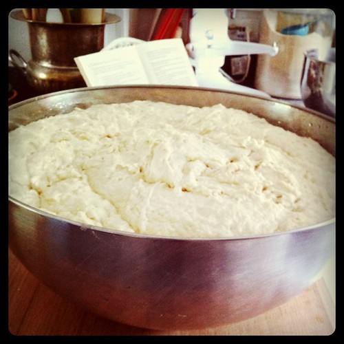 radical homemaking today: enough dough for eight loaves