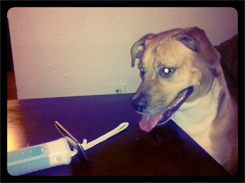 iPod = dog sitter