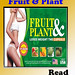 FRUIT & PLANT1