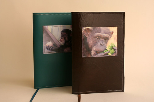 Chimp Notebooks
