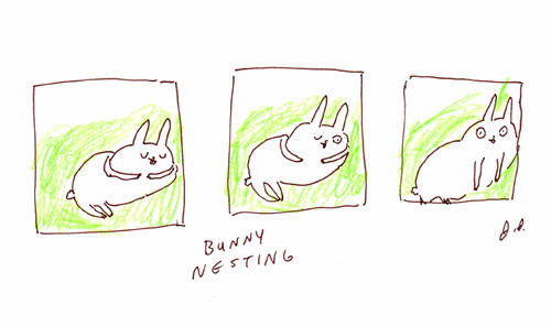 bunny nesting 