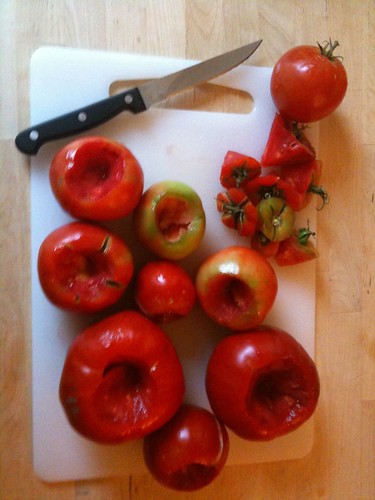 The cored tomatoes