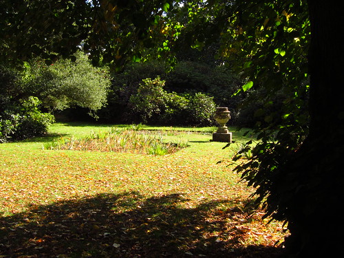 The Iris Garden, Cannizaro Park
