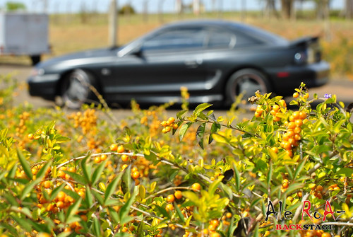 Ensaio Mustang GT V8 5.0 by Ale RoAz BACKSTAGE-40