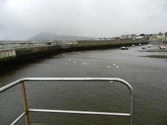 A rainy Monday evening in Bray harbour