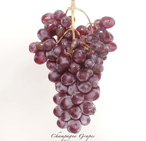 Day 234/365: Champagne Grapes