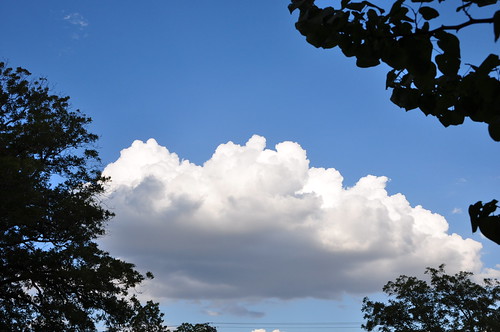 Poofy cloud Aug 2011