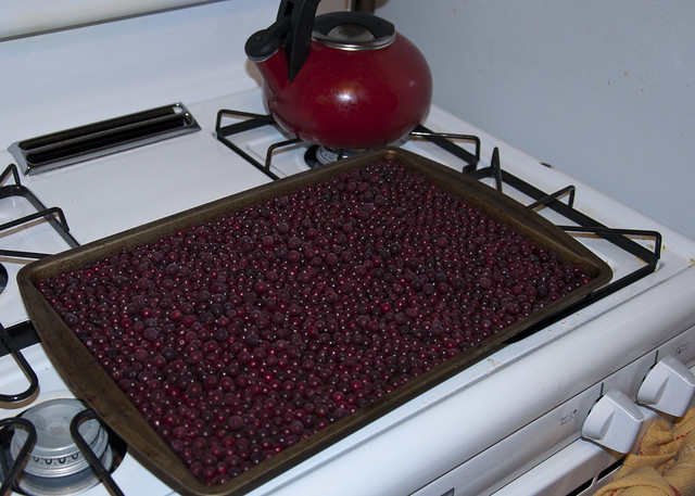 Freezing cranberries