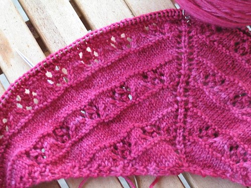 Roses are Pink Too! Shawl