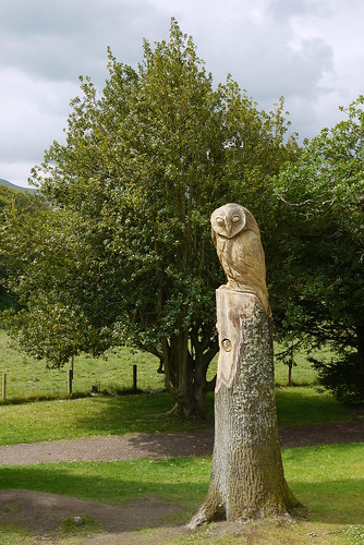 Cragside Owl Sculpture