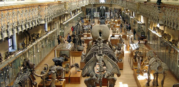 Museu de História Natural de Paris