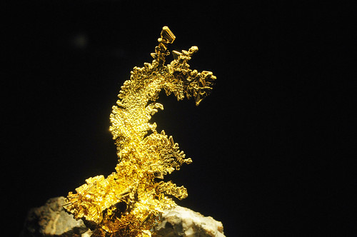 The Dragon | HMNS Mineral Hall