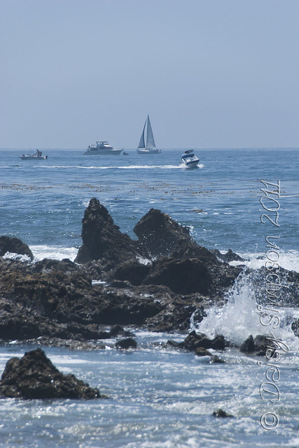 D4 tide pools boats waves verticle