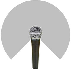 Wide area coverage microphone