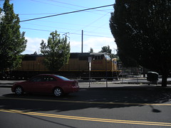 A container freight shoots by me next to Division Street this afternoon