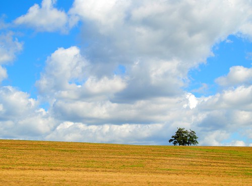 Lonely Tree with Clouds by Tobi_2008