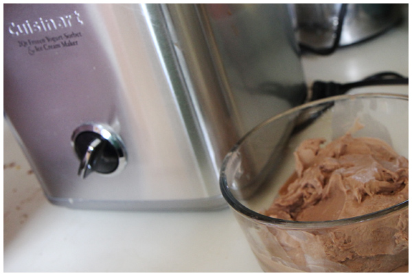 Making chocolate coconut ice cream
