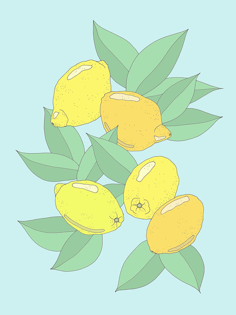 lemons305