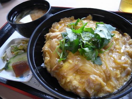 「大和肉鶏親子丼」が美味！『奈良県庁食堂』＠奈良市