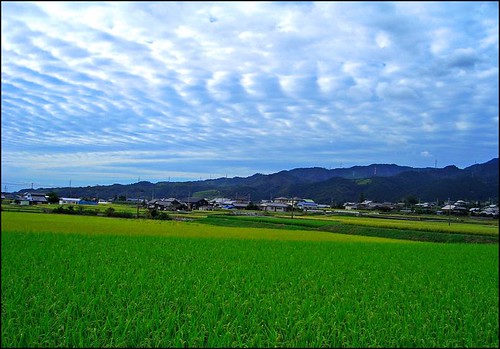 Landscape (Around the my house) by T.takako