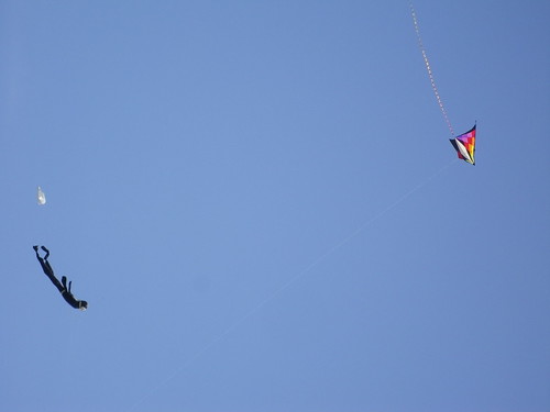 Diving Kites by Lisa's Random Photos