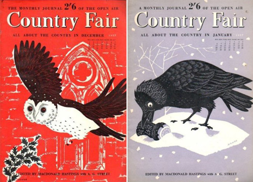 country-fair3
