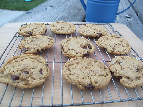 flourless pb cookies