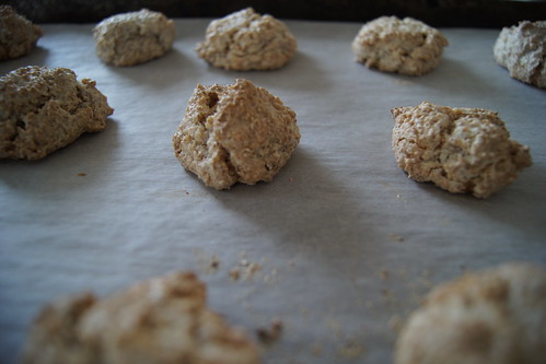 coconut macaroons - baked
