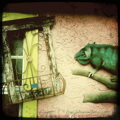Lizard House by bichonphoto
