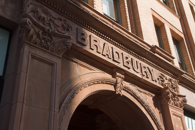 The Bradbury Building L.A.-3