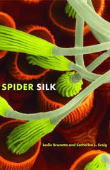 spider silk