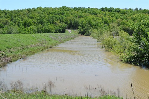 Prairie Grove dam helps reduce flooding of Muddy Fork Creek along the western edge of Prairie Grove. 