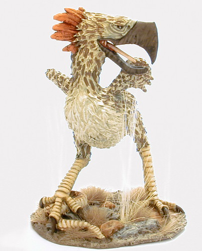 ShadowSea Skullcracker Bird
