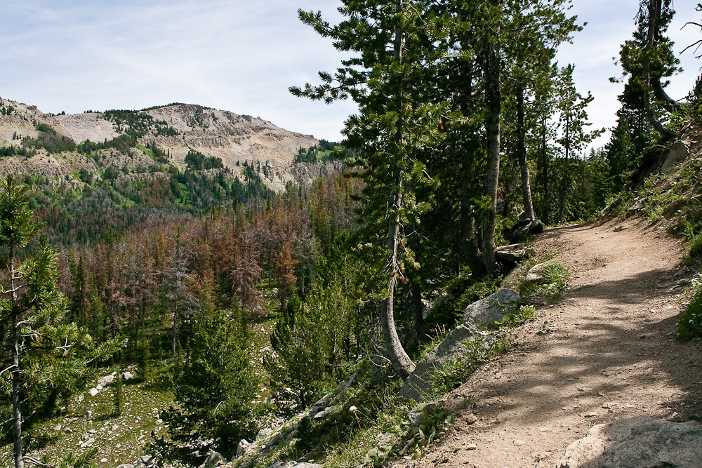 Goodwin Lake Trail