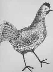 Little Chicken (Pen and Ink Sketch) by randubnick