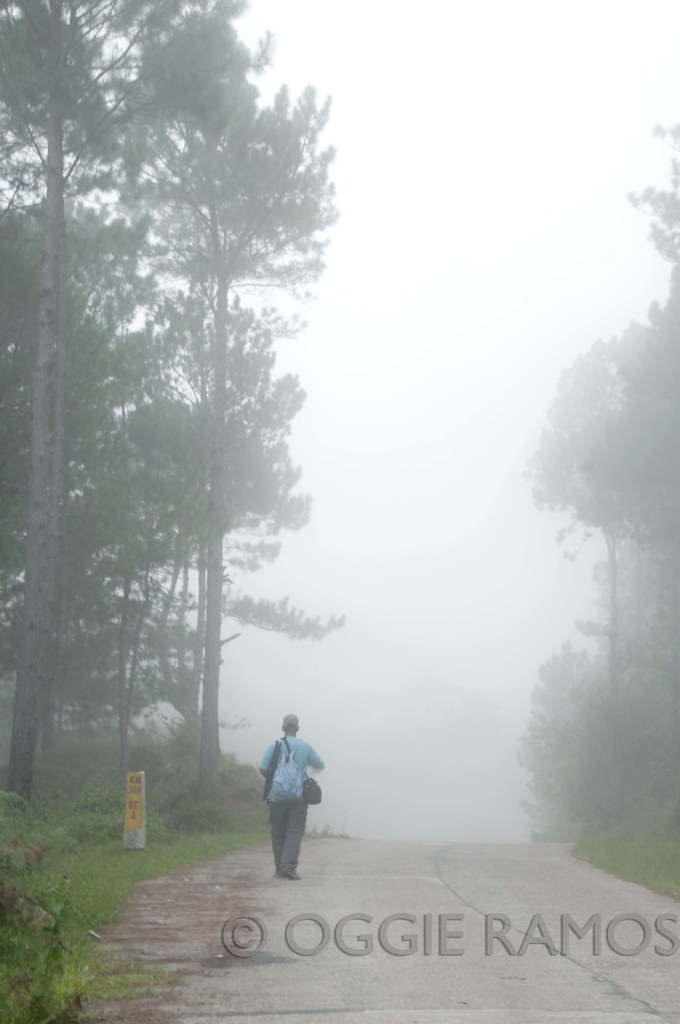 Sagada - Foggy Road to Danum