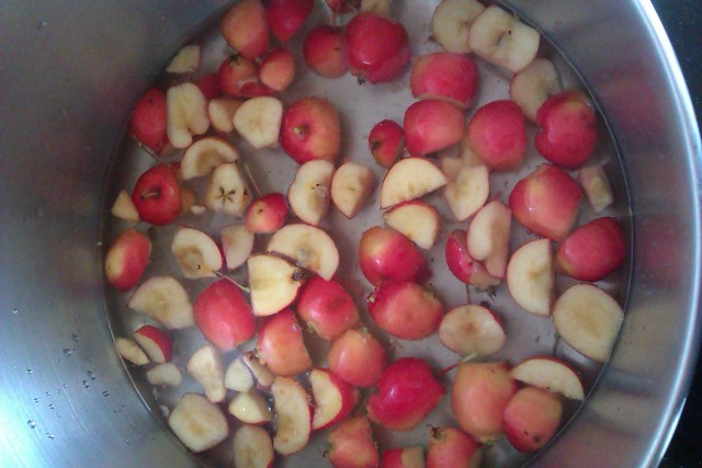 Chopped crab apples floating in a pot of water