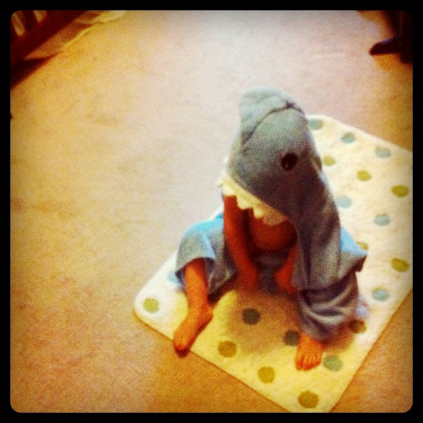 5/365 The baby shark gets ready for the day.
