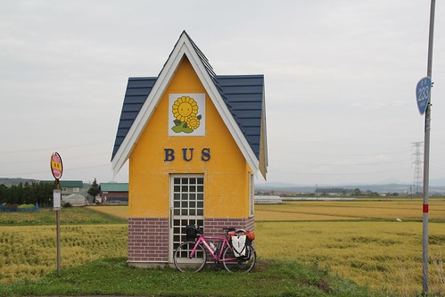 The cutest bus stop in Japan is in Hokkaido! 日本一かわいいバス停、北海道竜北町