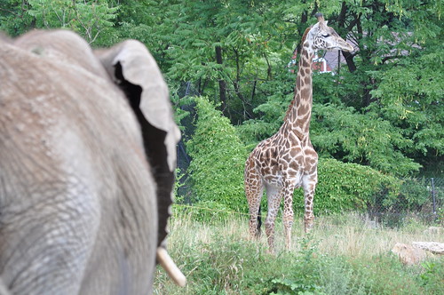 Pittsburgh Zoo