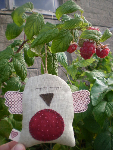 Aroma Robbin and raspberries