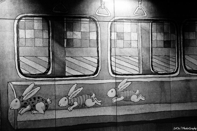 Rabbit Train