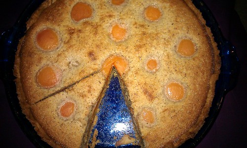 sliced almond apricot tart