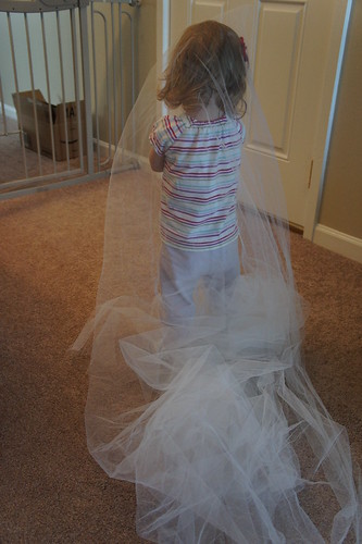 someone likes tulle!