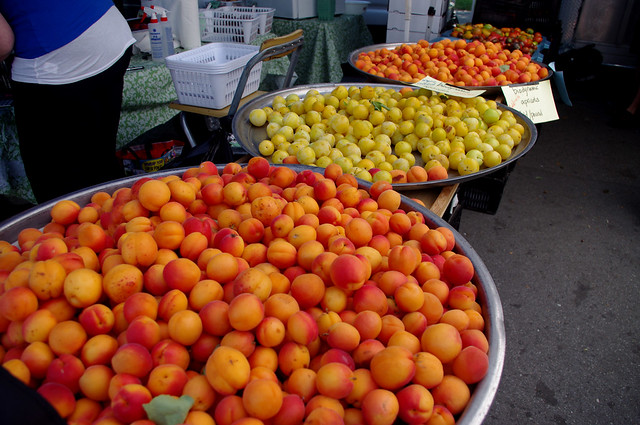 Apricots at Trout Lake Farmers Market
